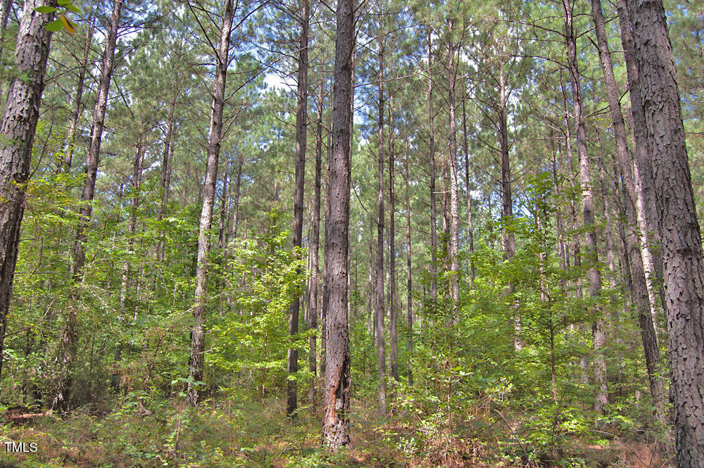 0 Buckhorn Road Bullock, NC 27507 - Photo 25 of 61 a view of a garden