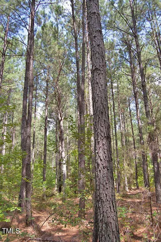 a view of a pathway both side of house