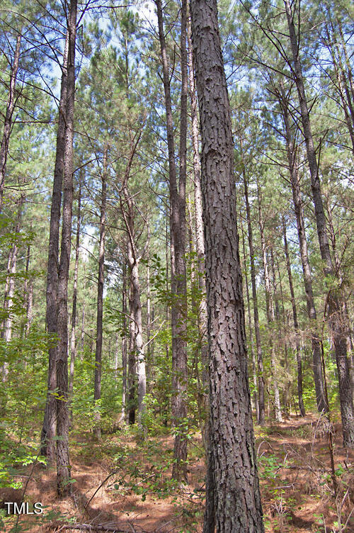0 Buckhorn Road Bullock, NC 27507 - Photo 27 of 61 DSC_0726