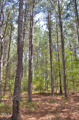 a view of a garden with a tree