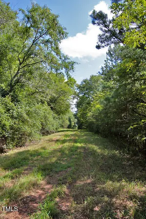 a view of a field with an trees