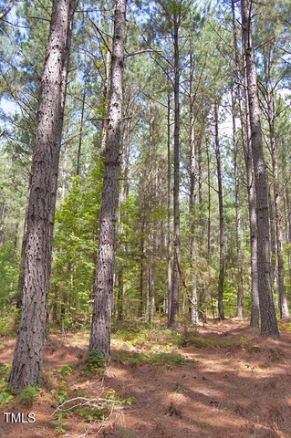 a view of a big yard with lots of green space