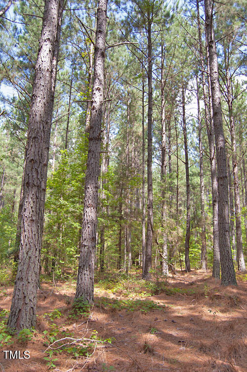 0 Buckhorn Road Bullock, NC 27507 - Photo 32 of 61 DSC_0731
