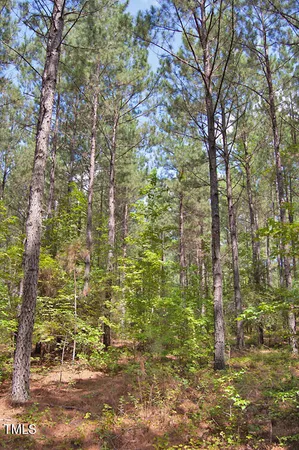 a view of a field with trees in background