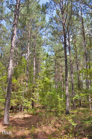 a view of a field with trees in background