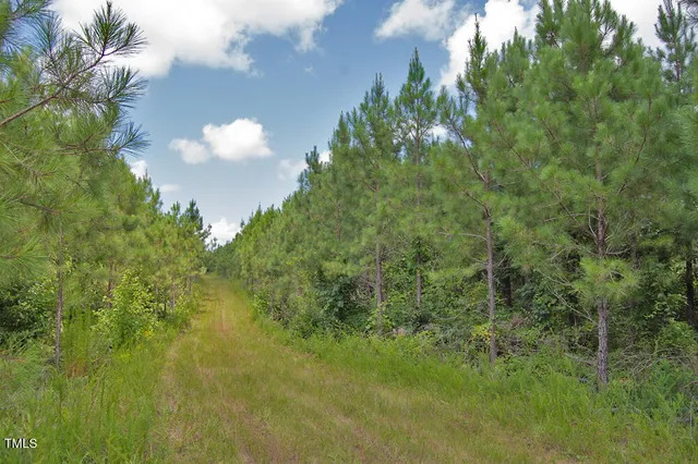 a view of outdoor space with deck and green space