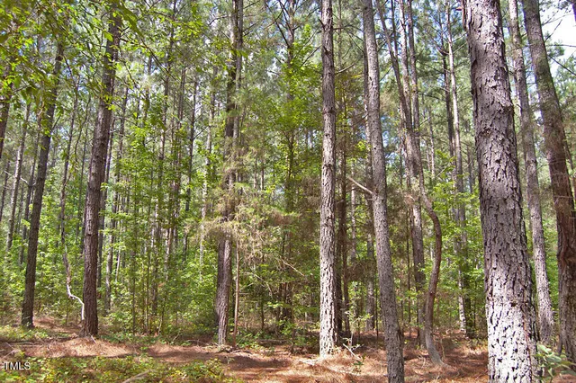 a big yard with lots of green space and trees