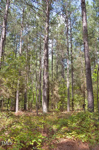 a view of a lake with large trees