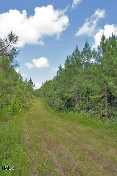 0 Buckhorn Road Bullock, NC 27507 - Photo 39 of 61 a view of a big yard with lots of green space