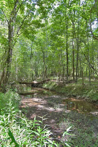 a view of a yard with lots of trees