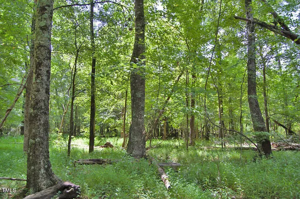a yard with trees in the background
