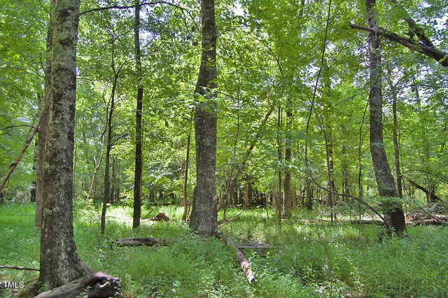 a yard with trees in the background