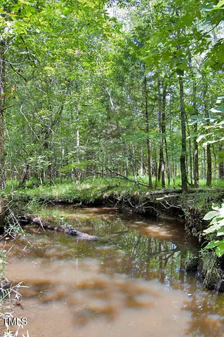 a view of a forest filled with trees