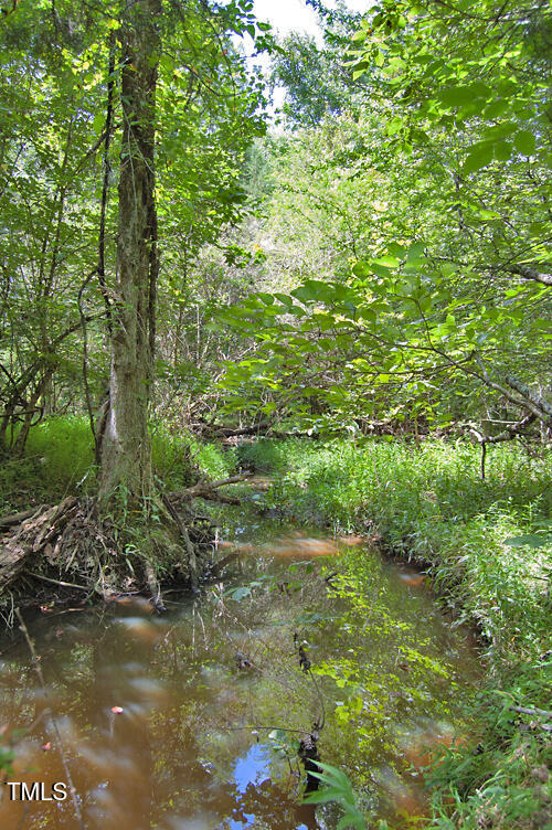 0 Buckhorn Road Bullock, NC 27507 - Photo 45 of 61 a view of a lake with large trees