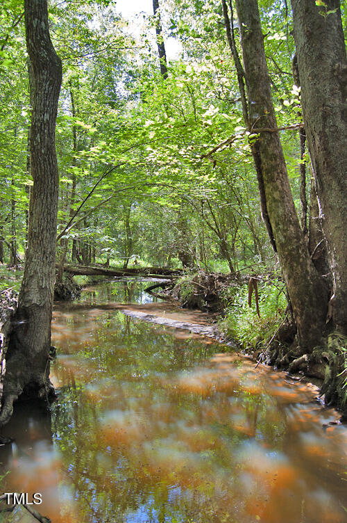 0 Buckhorn Road Bullock, NC 27507 - Photo 47 of 61 a view of swimming pool with a yard