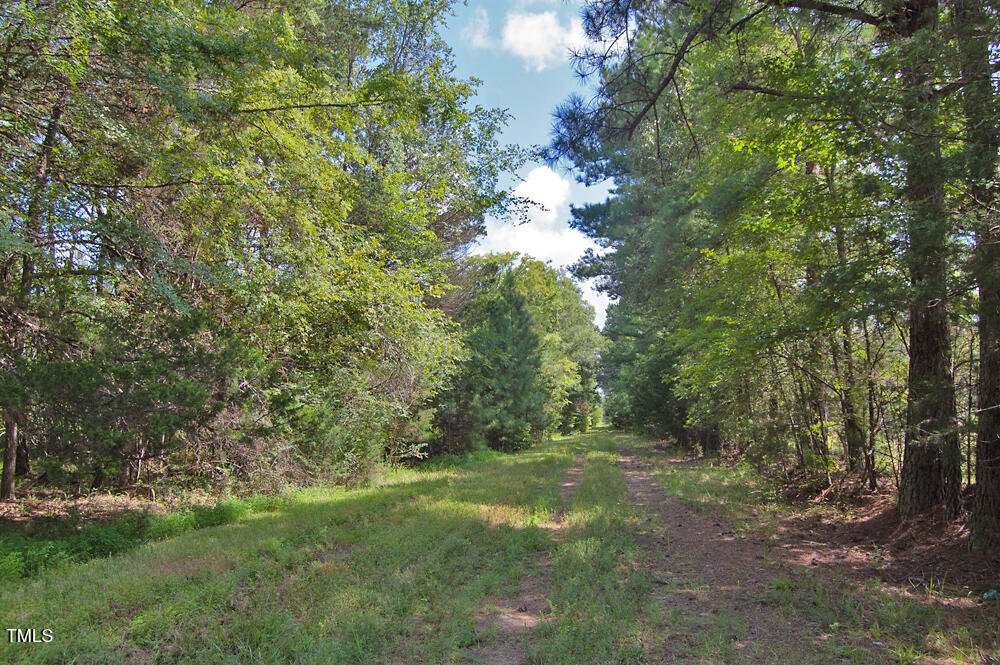 0 Buckhorn Road Bullock, NC 27507 - Photo 5 of 61 DSC_0700