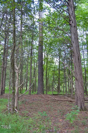 $1,450,000 | 0 Buckhorn Road, Bullock, NC 27507