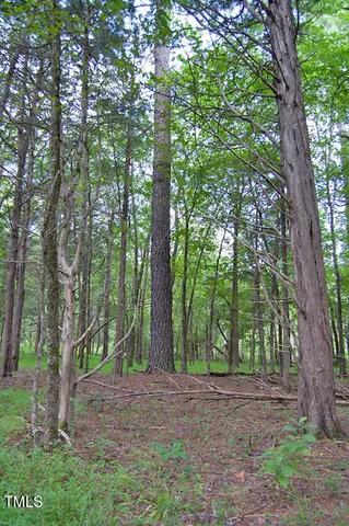 $1,450,000 | 0 Buckhorn Road, Bullock, NC 27507