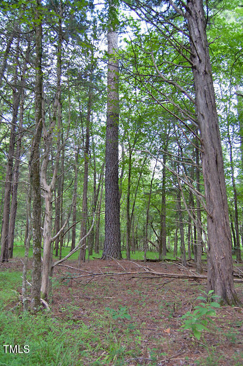 0 Buckhorn Road Bullock, NC 27507 - Photo 51 of 61 a backyard of a house with lots of green space