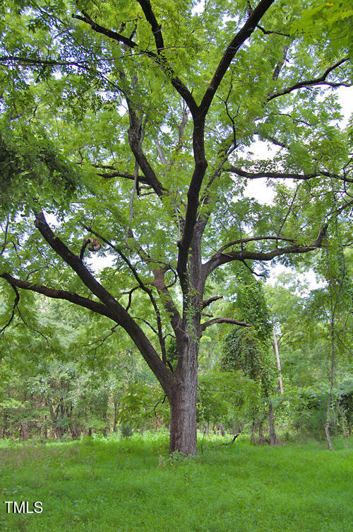 0 Buckhorn Road Bullock, NC 27507 - Photo 54 of 61 DSC_0758