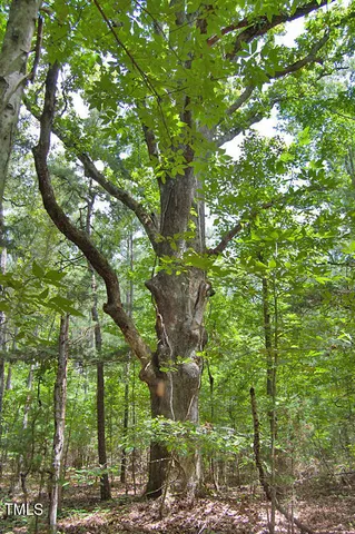 $1,450,000 | 0 Buckhorn Road, Bullock, NC 27507