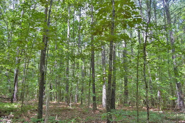 $1,450,000 | 0 Buckhorn Road, Bullock, NC 27507