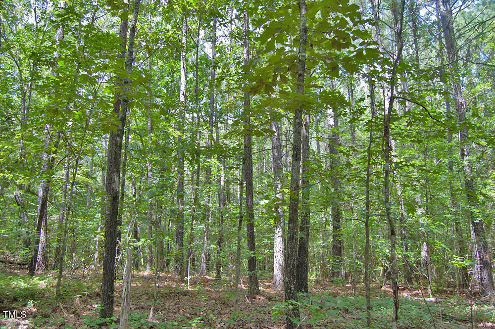 0 Buckhorn Road Bullock, NC 27507 - Photo 56 of 61 a view of outdoor space and green space