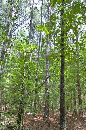 $1,450,000 | 0 Buckhorn Road, Bullock, NC 27507