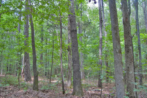 $1,450,000 | 0 Buckhorn Road, Bullock, NC 27507