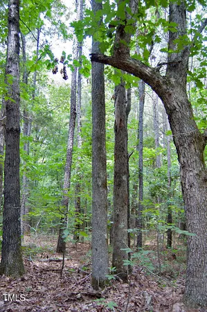 $1,450,000 | 0 Buckhorn Road, Bullock, NC 27507