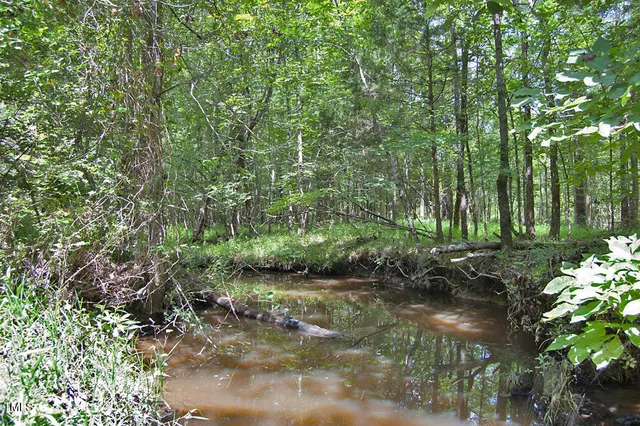 a view of a yard with trees