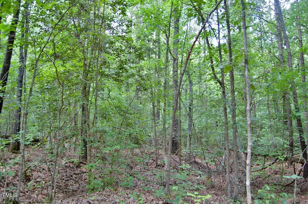 $1,450,000 | 0 Buckhorn Road, Bullock, NC 27507