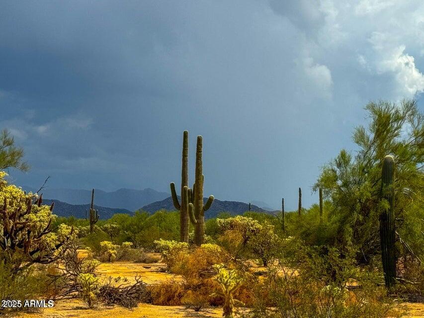 a vase of flowers sitting in a yard