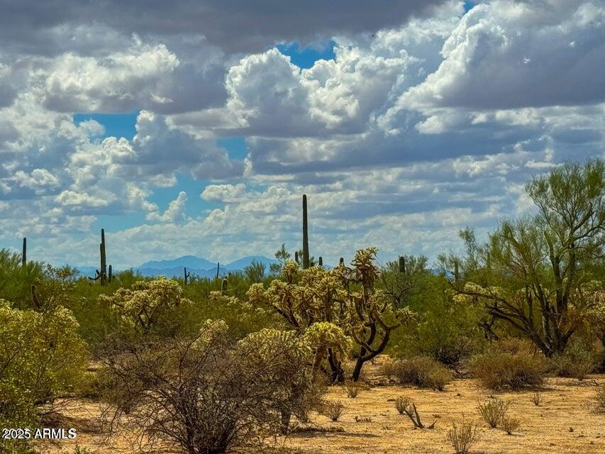 0 South Twin Hawk Marana, AZ 85658 - Photo 12 of 28