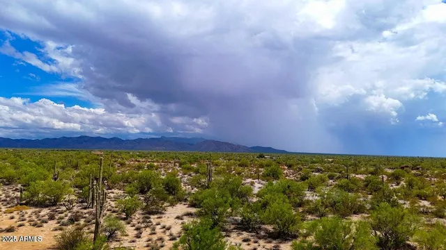 a street sign sitting on the side of a road