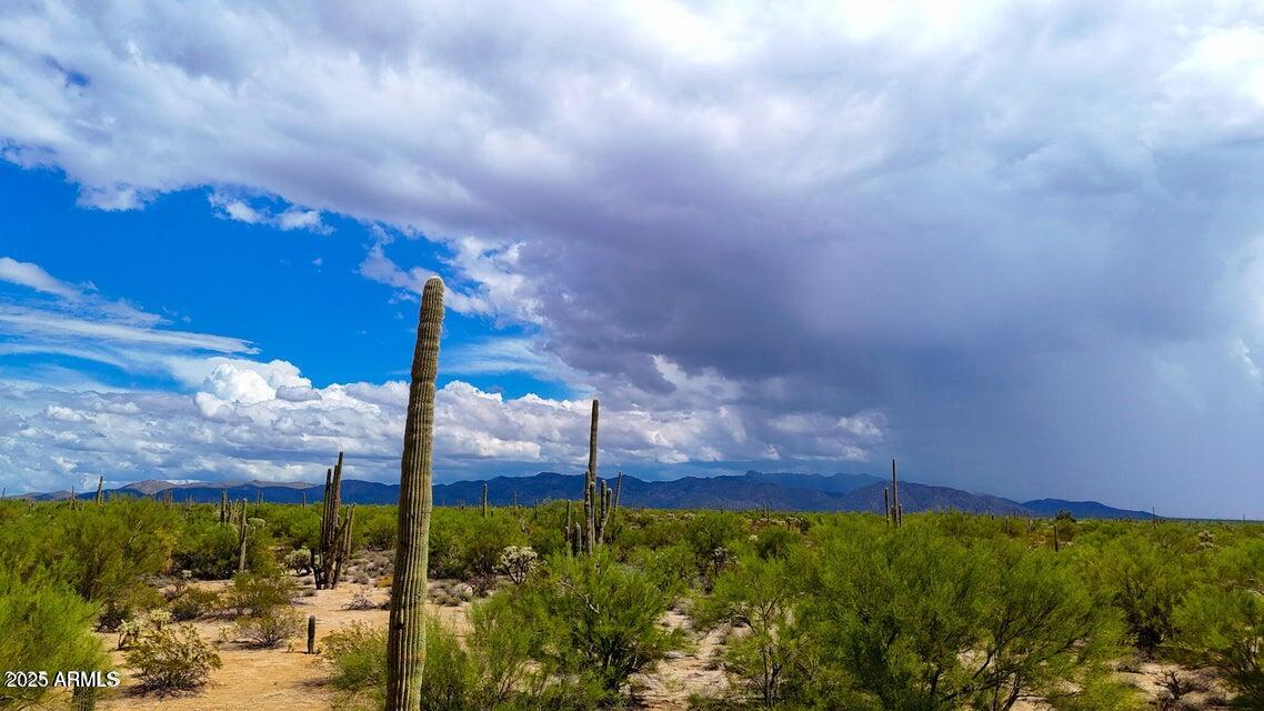 0 South Twin Hawk Marana, AZ 85658 - Photo 17 of 28 a view of a yard