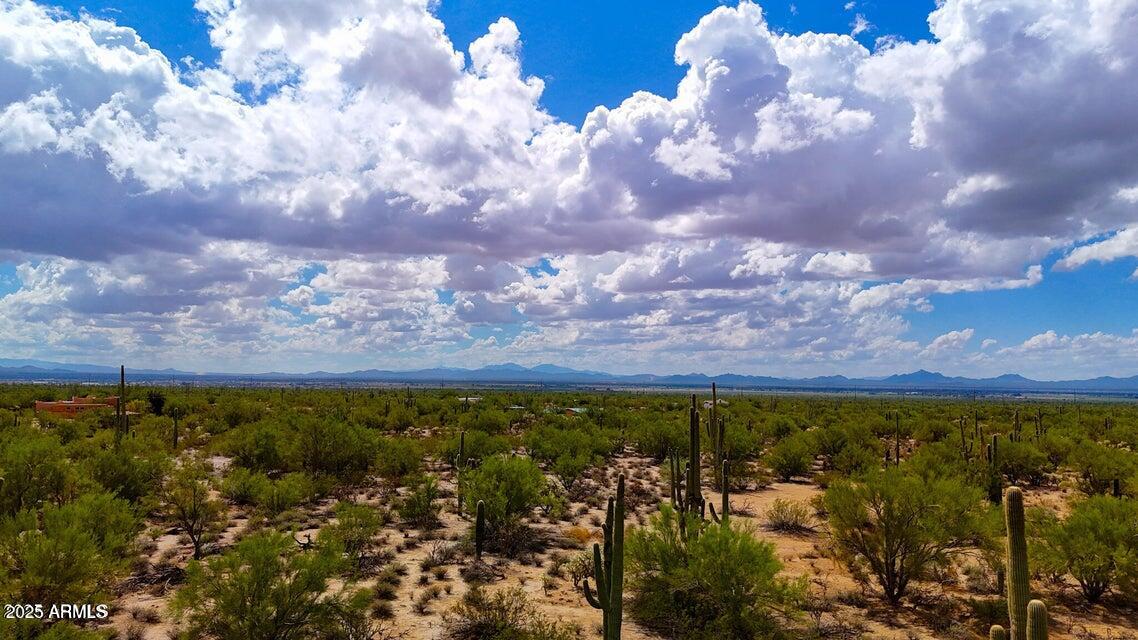0 South Twin Hawk Marana, AZ 85658 - Photo 20 of 28 a view of a lot of trees & house