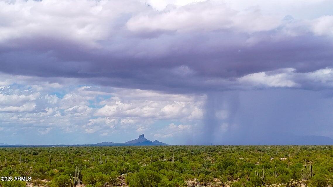 0 South Twin Hawk Marana, AZ 85658 - Photo 23 of 28 a view of yard with grass and a yard