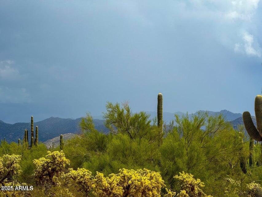 0 South Twin Hawk Marana, AZ 85658 - Photo 3 of 28 a view of a lake with a building in background