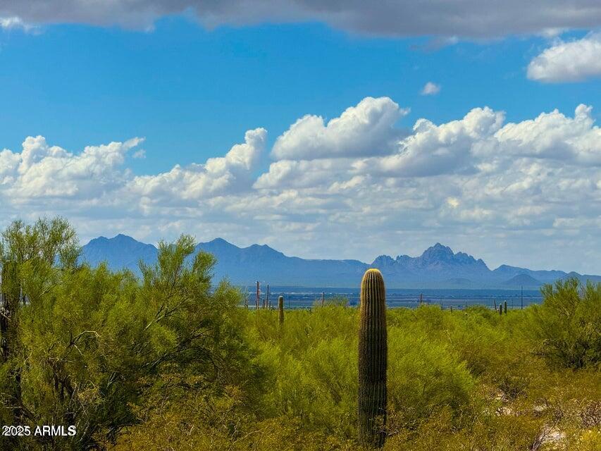 0 South Twin Hawk Marana, AZ 85658 - Photo 7 of 28 a front view of a residential houses with yard