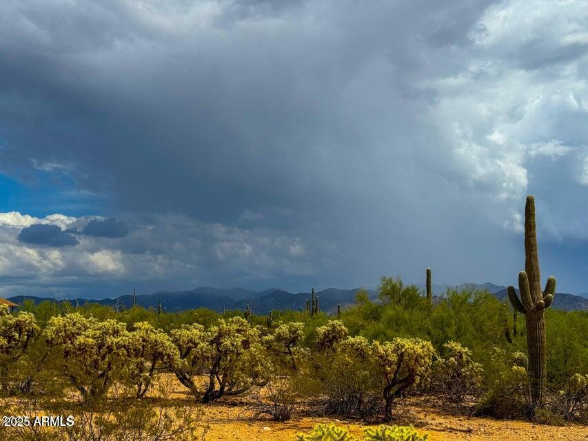 0 South Twin Hawk Marana, AZ 85658 - Photo 8 of 28 a view of a yard