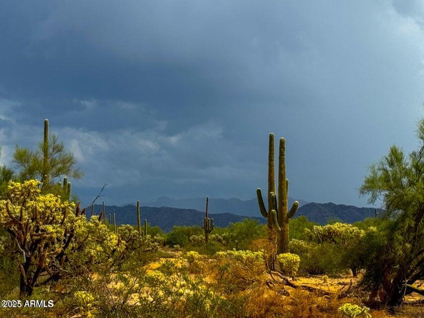 0 South Twin Hawk Marana, AZ 85658 - Photo 10 of 28 a view of a lake