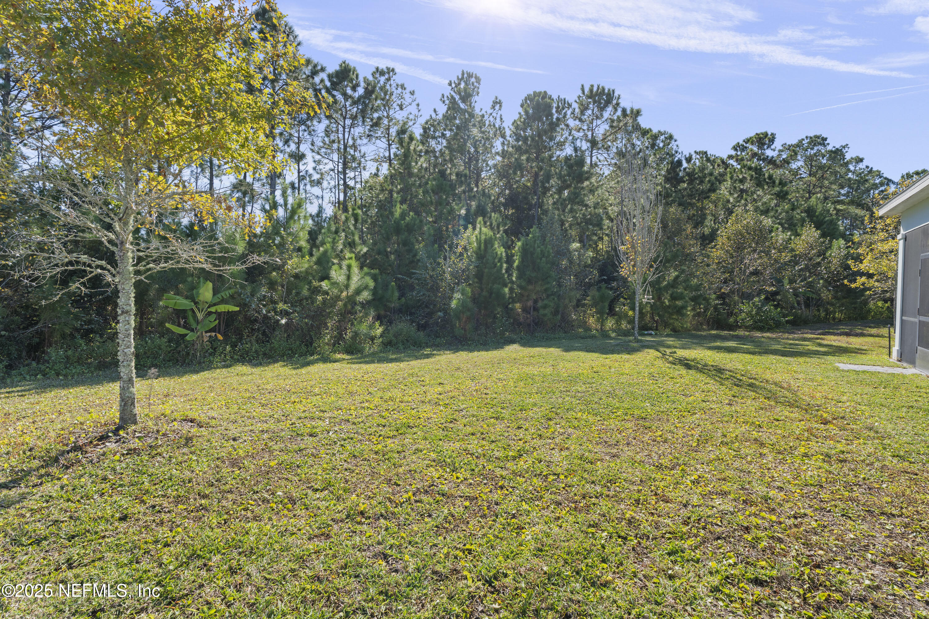 165 Killarney Avenue St. Johns, FL 32259 - Photo 36 of 63 a view of a yard with trees
