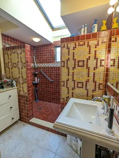a bathroom with a sink and a shower