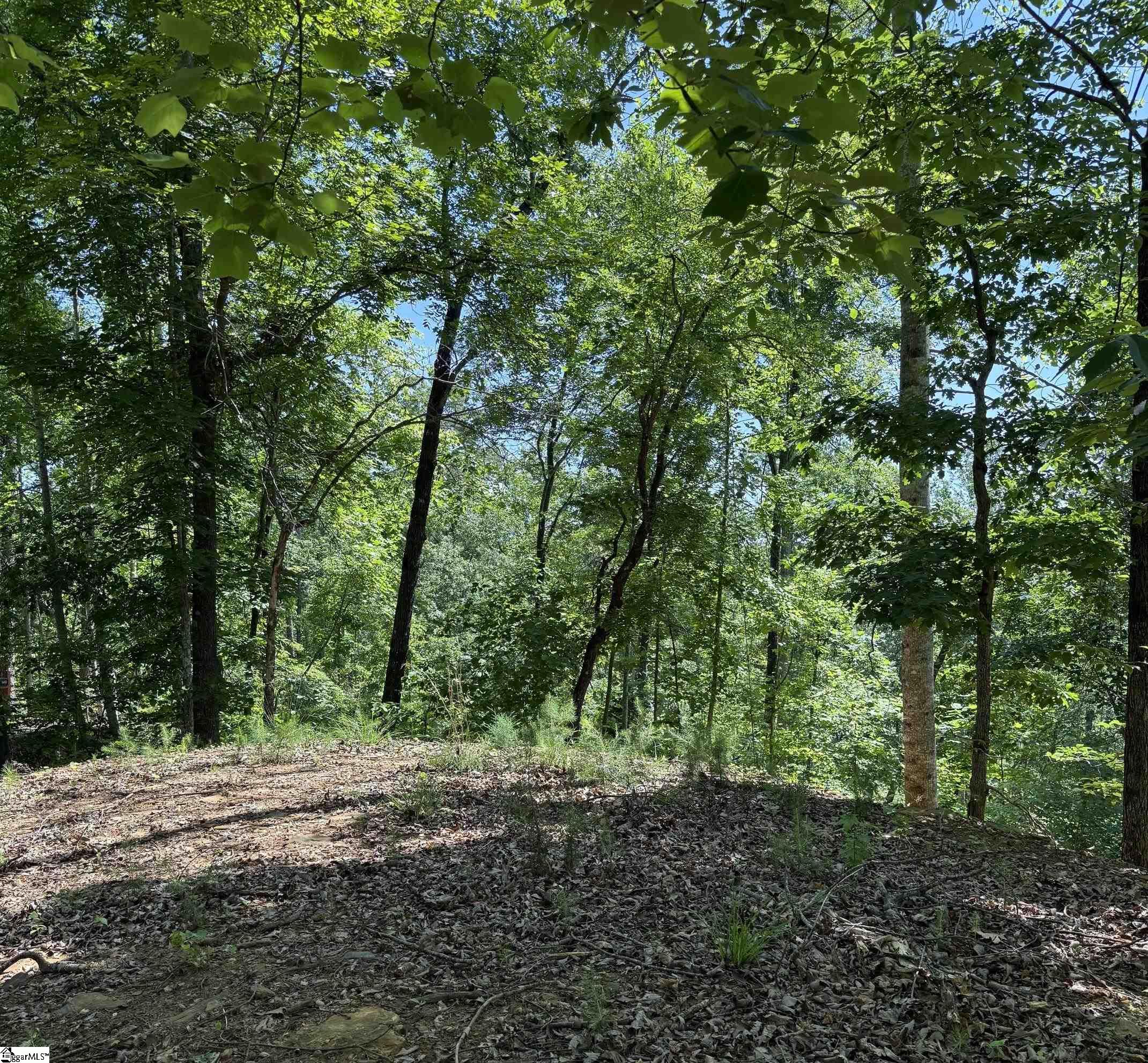 126 Summit Pine Sunset, SC 29685 - Photo 4 of 5