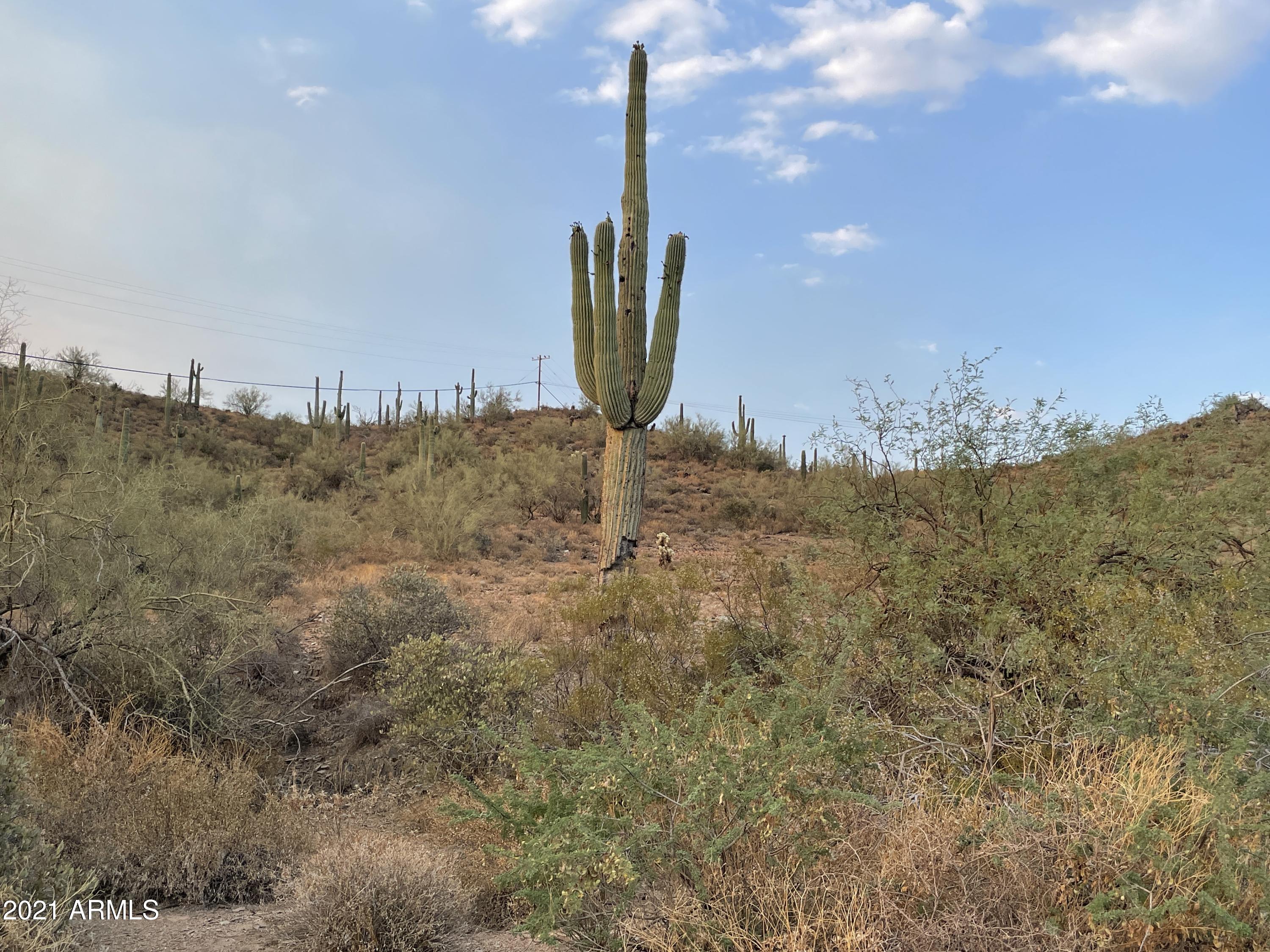 0 West Meander Road New River, AZ 85087 - Photo 8 of 10 IMG_0967