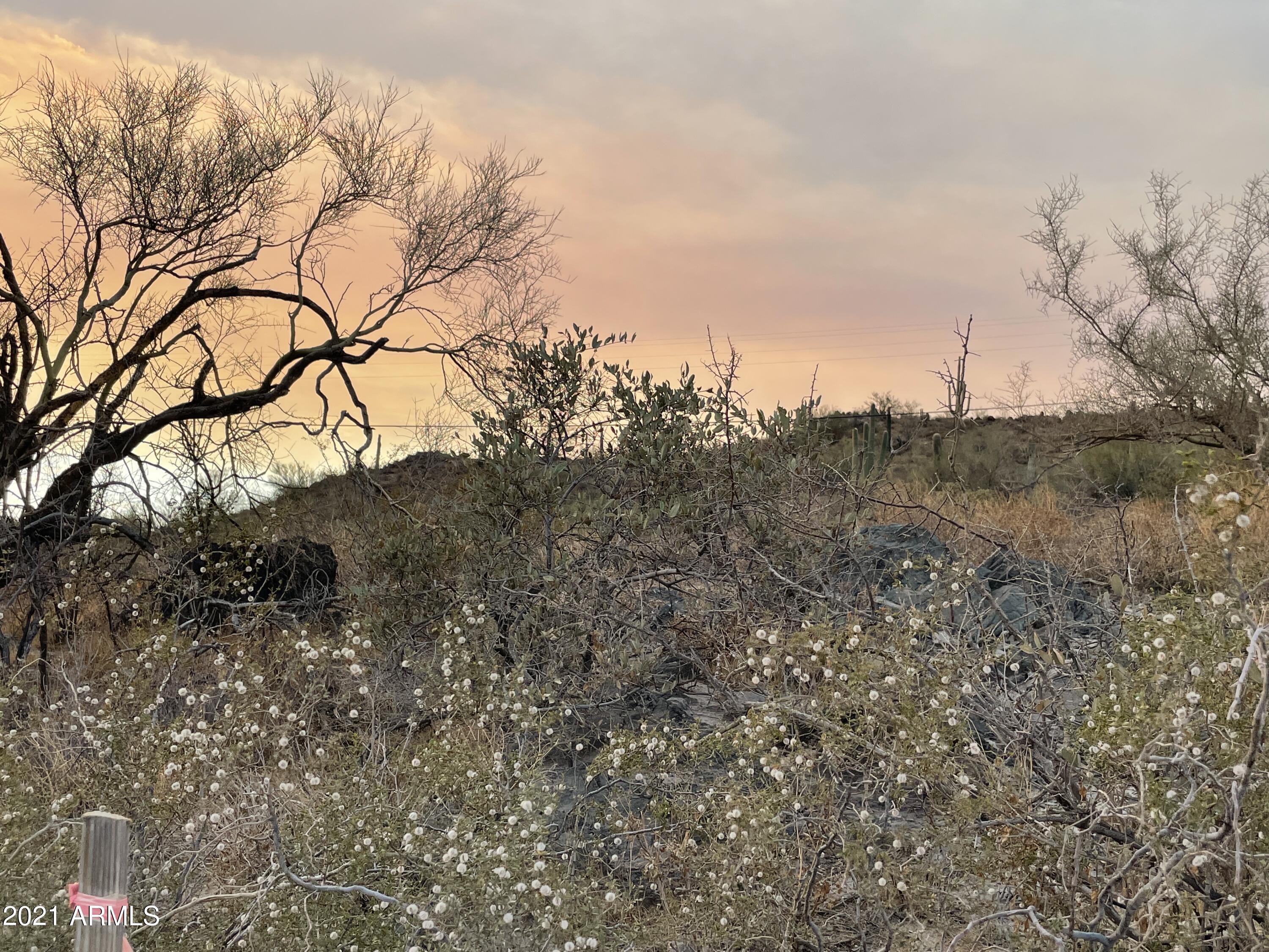 0 West Meander Road New River, AZ 85087 - Photo 10 of 10 IMG_0970