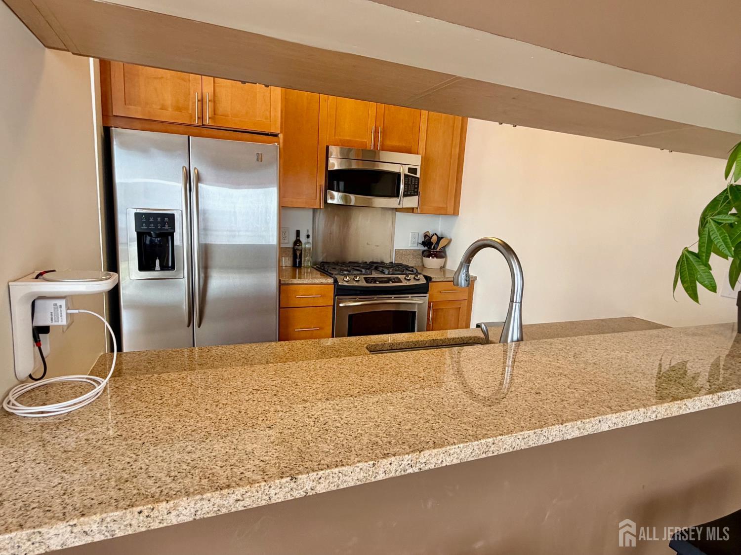 1 Spring Street, Unit 2104 New Brunswick, NJ 08901 - Photo 23 of 82 Gallery Image 23