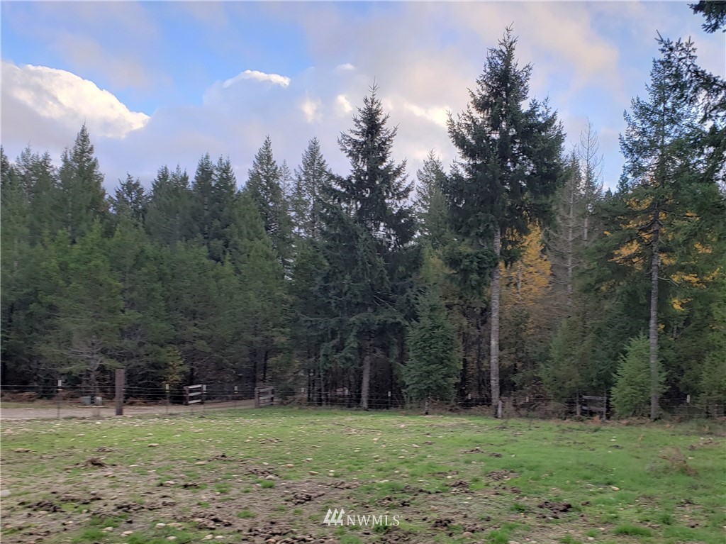 150 West Simpson Road Shelton, WA 98584 - Photo 17 of 31 Gallery Image 17