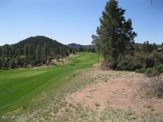 507 South Rim Club Drive, Unit 16 Payson, AZ 85541 - Photo 4 of 5 Photo 4